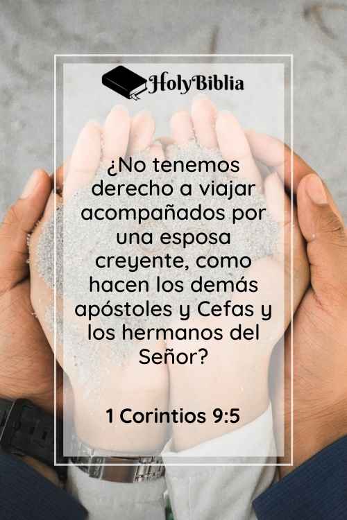 Versículos Sobre el Matrimonio en la Biblia 1 Corintios 9_5