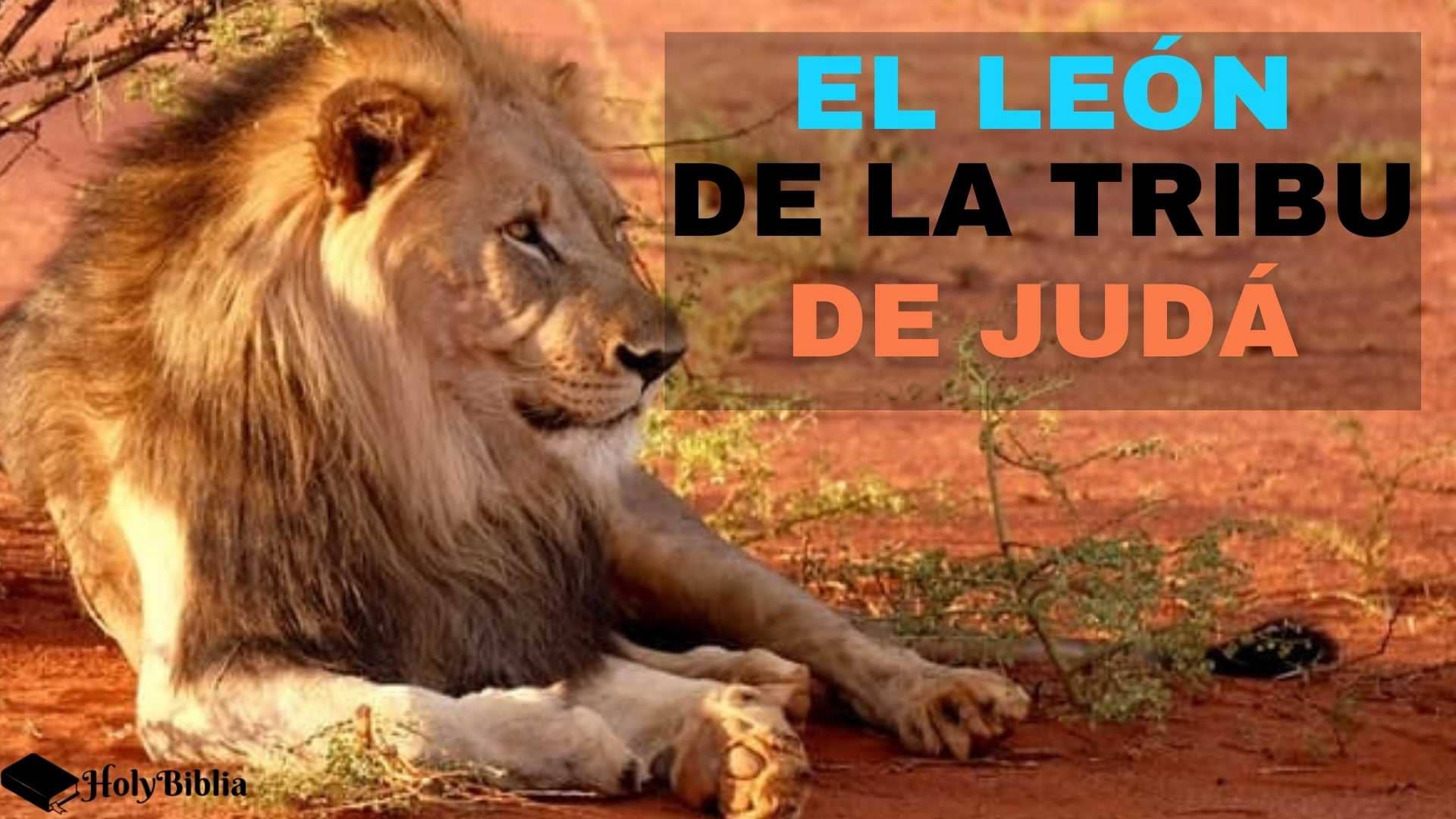 ᐅ ¿Qué significa Jesús, el león de la tribu de Judá? | 【Holybiblia】