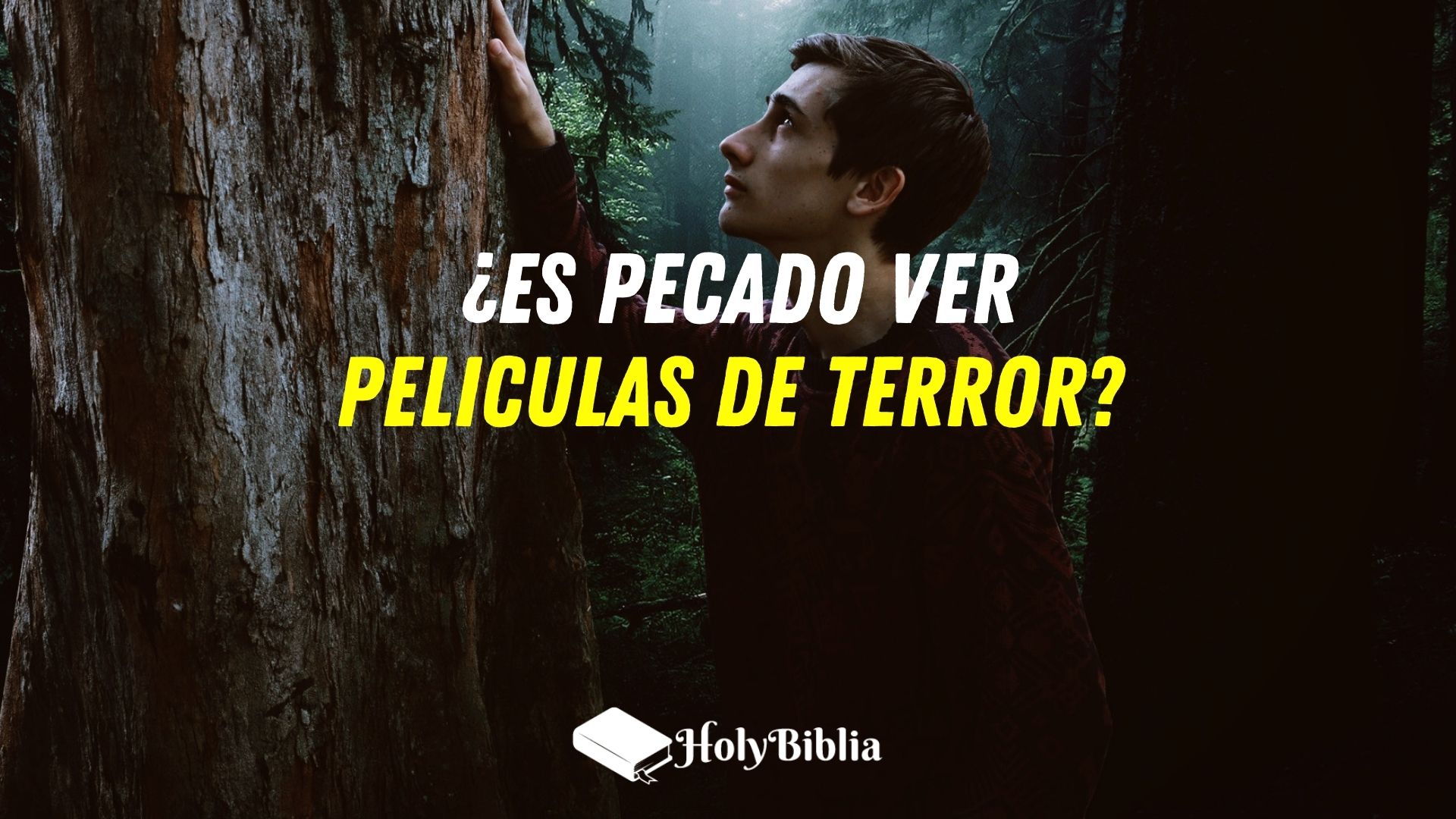 Es pecado ver peliculas de terror