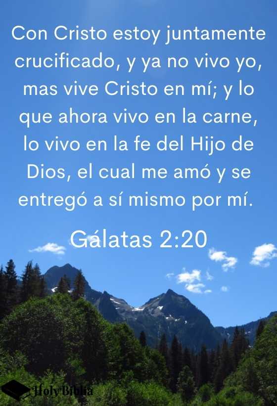 Gálatas 2:20 Con Cristo estoy juntamente crucificado, y ya no vivo yo, mas vive Cristo en mí; y lo que ahora vivo en la carne, lo vivo en la fe del Hijo de Dios, el cual me amó y se entregó a sí mismo por mí.