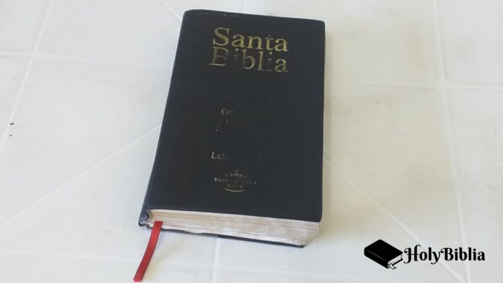 Cómo hacer un devocional cristiano - Tenga una Biblia