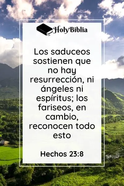 Hechos 23-8 Quiénes eran los saduceos en la Biblia