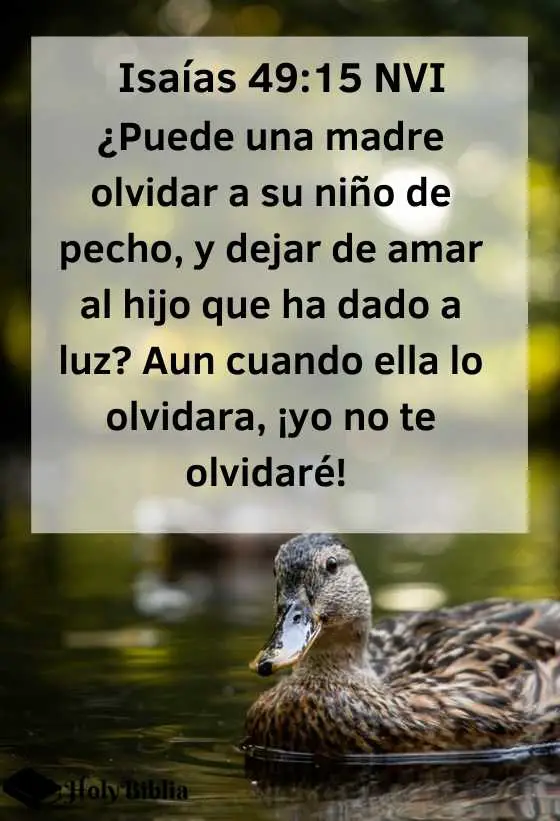 Isaías 49:15 ¿Puede una madre olvidar a su niño de pecho, y dejar de amar al hijo que ha dado a luz_ Aun cuando ella lo olvidara, ¡yo no te olvidaré!