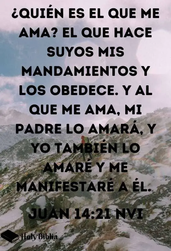 Juan 14:21 ¿Quién es el que me ama_ El que hace suyos mis mandamientos y los obedece. Y al que me ama, mi Padre lo amará, y yo también lo amaré y me manifestaré a él.