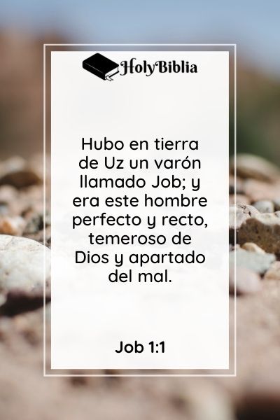 La historia de Job en la Biblia - Job 1:1