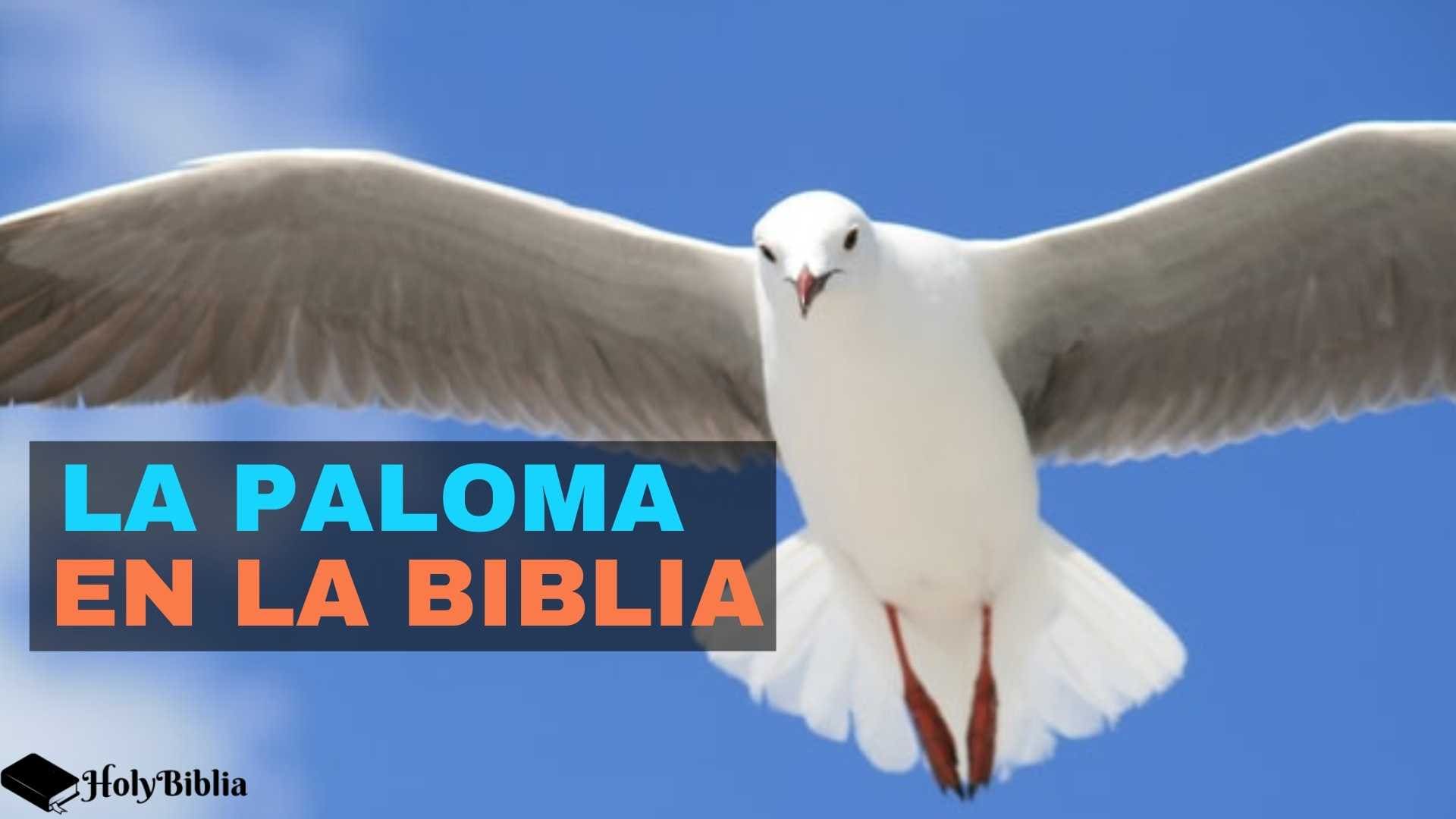 La paloma en la Biblia