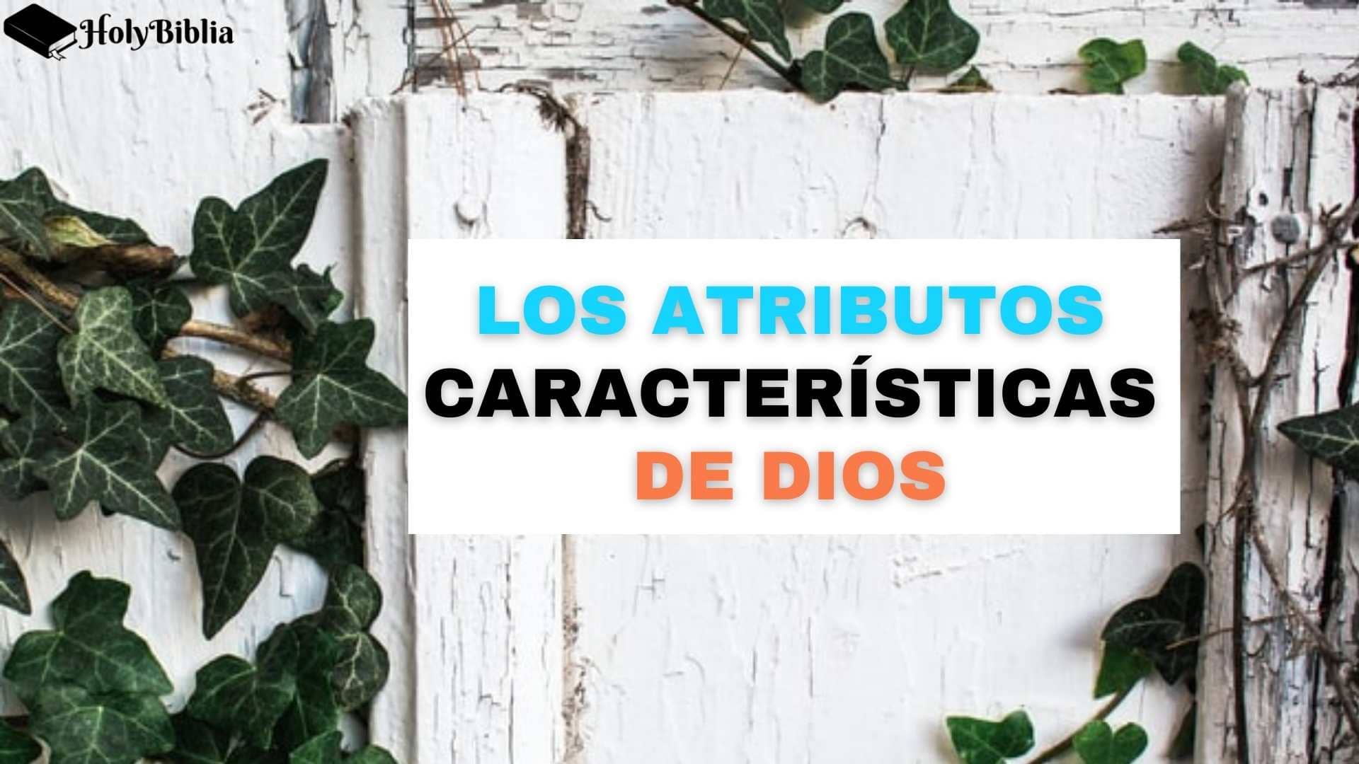 Valores Y Principios Eternos Los Atributos De Dios