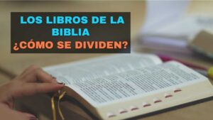 🥇 Cómo Se Divide La Biblia. Se Divide En Antiguo Y Nuevo Testamento ...