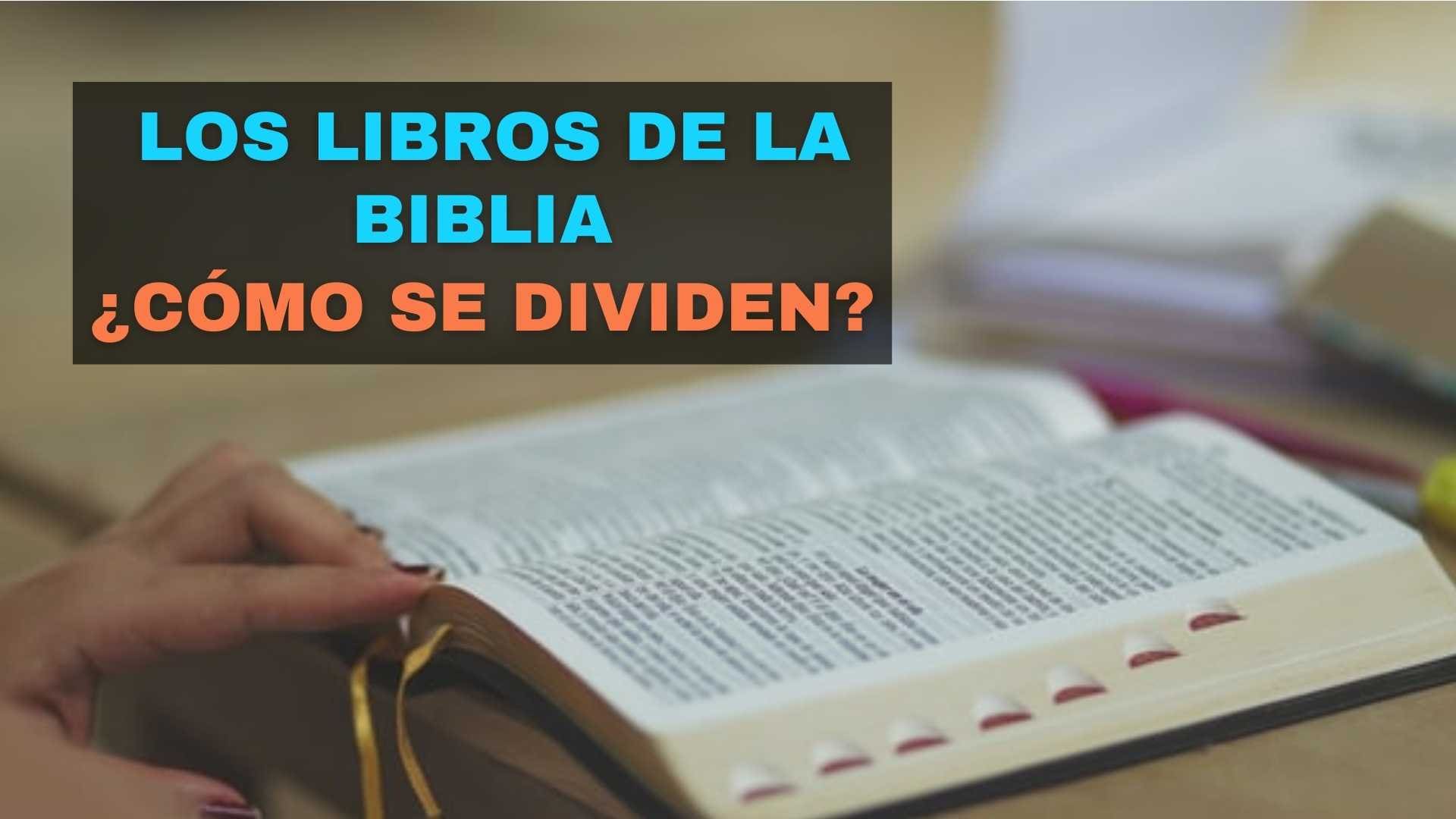 ¿cómo Se Divide La Biblia Explicación Clara Y Sencillaemk 1991