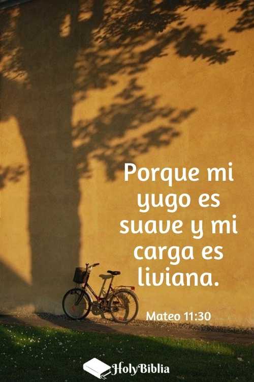 Mateo 11:30