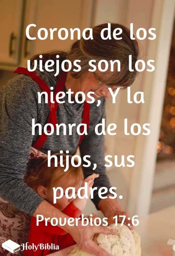 Proverbios 17:6 Corona de los viejos son los nietos, Y la honra de los hijos, sus padres.
