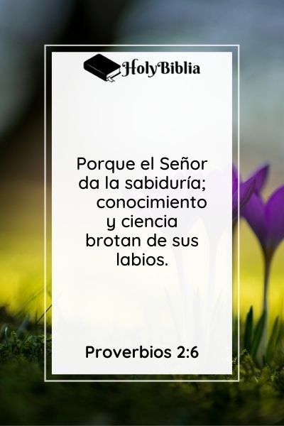 Qué es la Sabiduría de Dios Proverbios 2 6