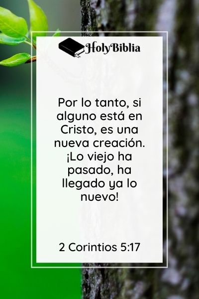 Qué significa 2 Corintios 5-17 Soy Nueva Criatura