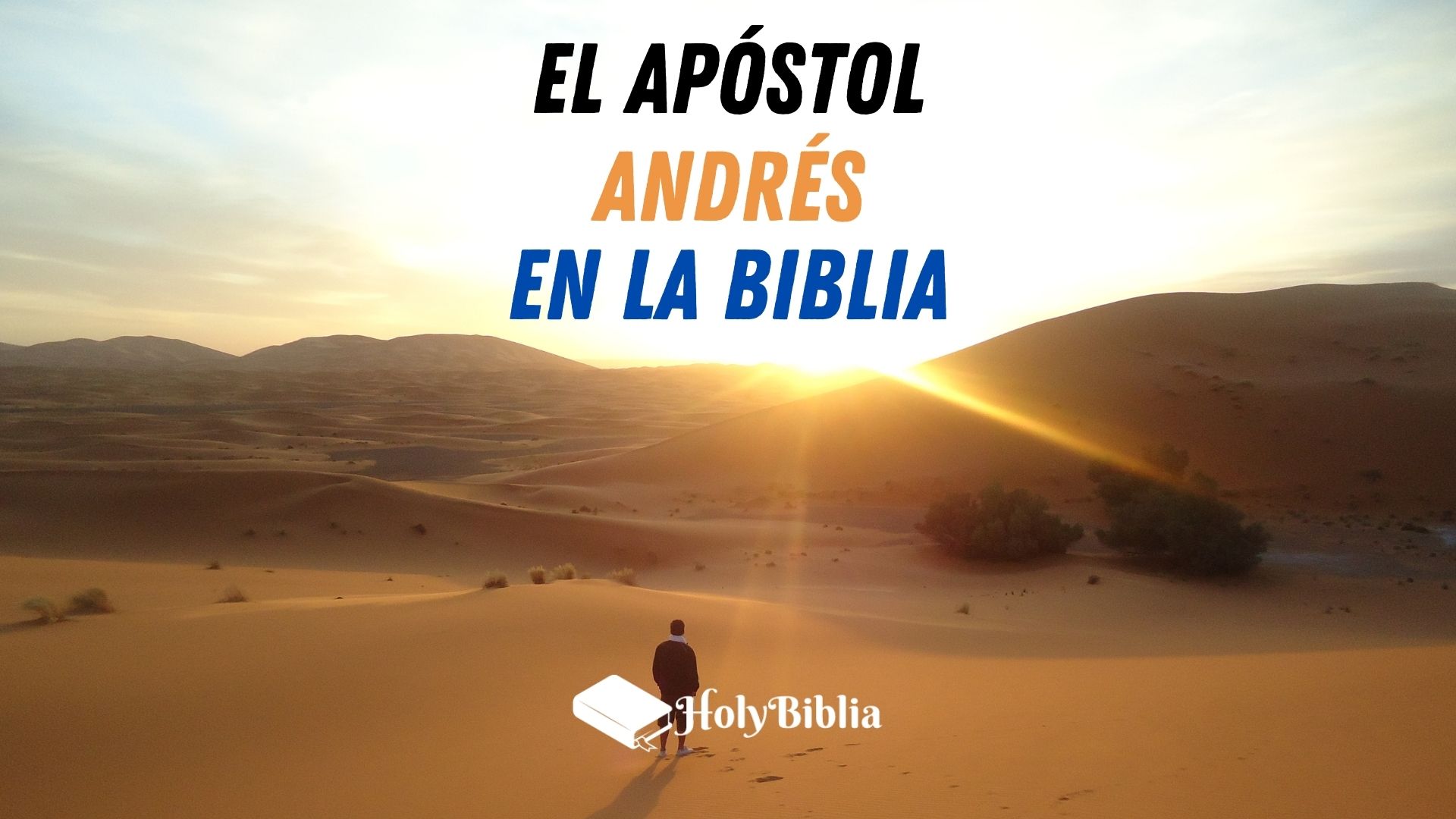 Quién fue el Apóstol Andrés en la Biblia