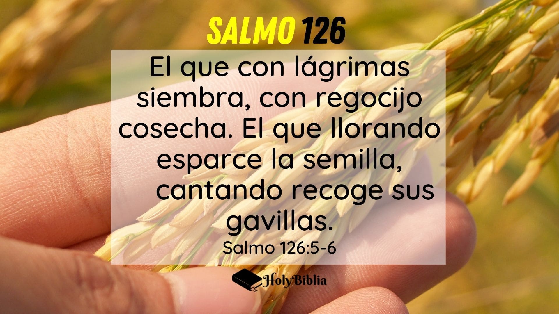Salmo 126