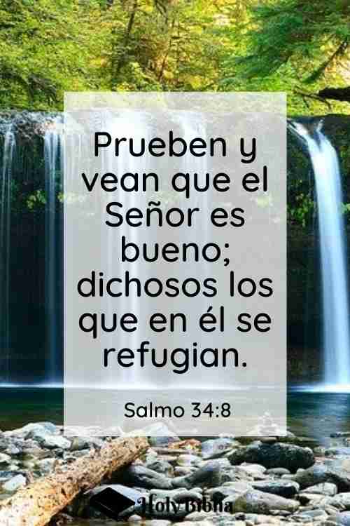 Salmo 34:8