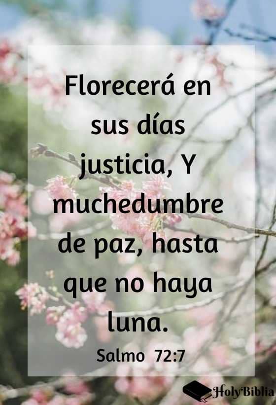 Versículos de la biblia sobre la paz - Salmo 72:7