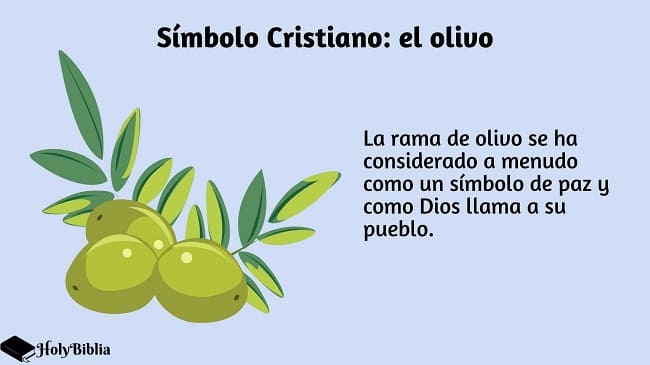 Símbolo Cristiano: el olivo