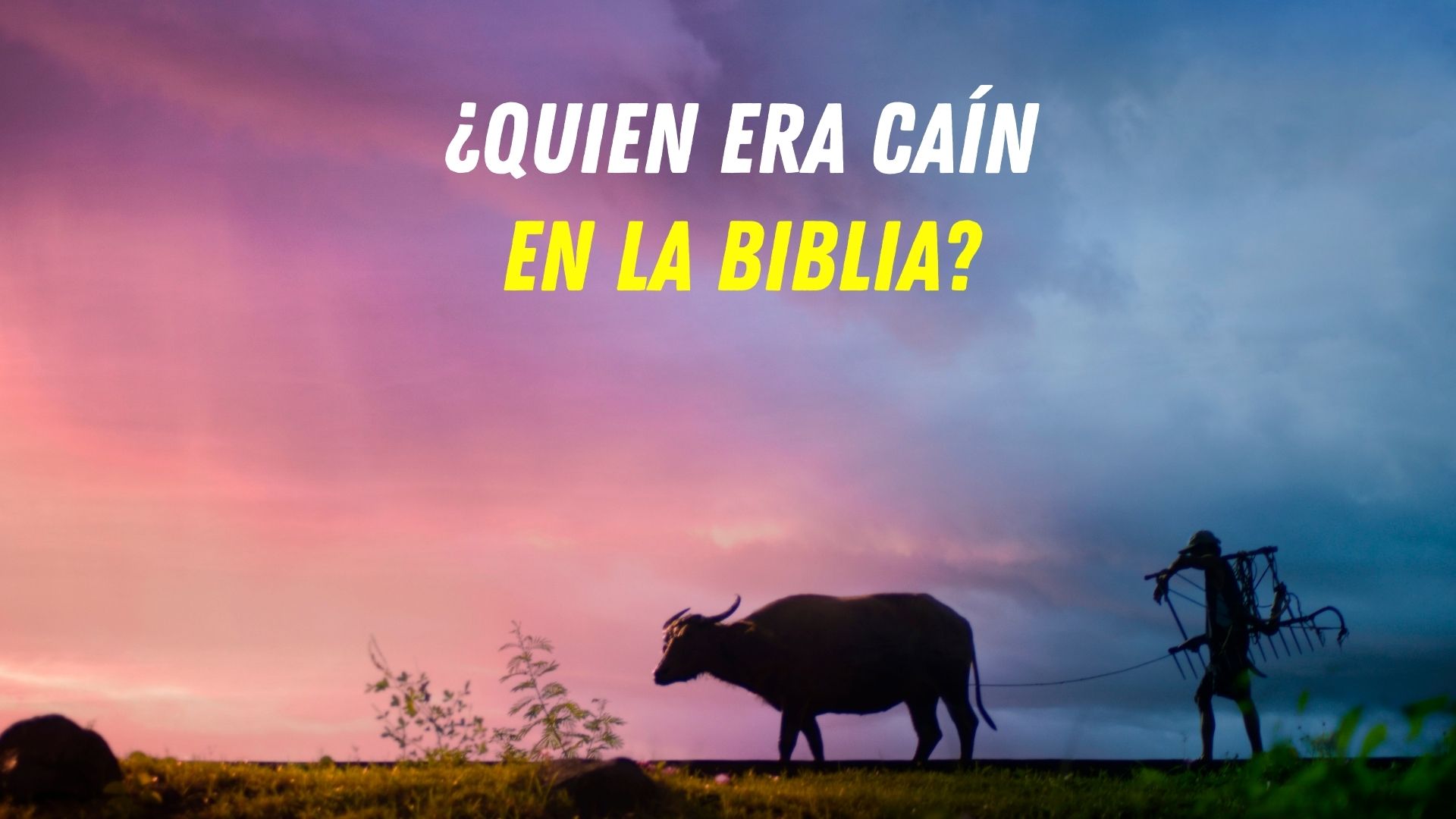 ¿Quién era Caín Conozca la historia y la biografía de Cain