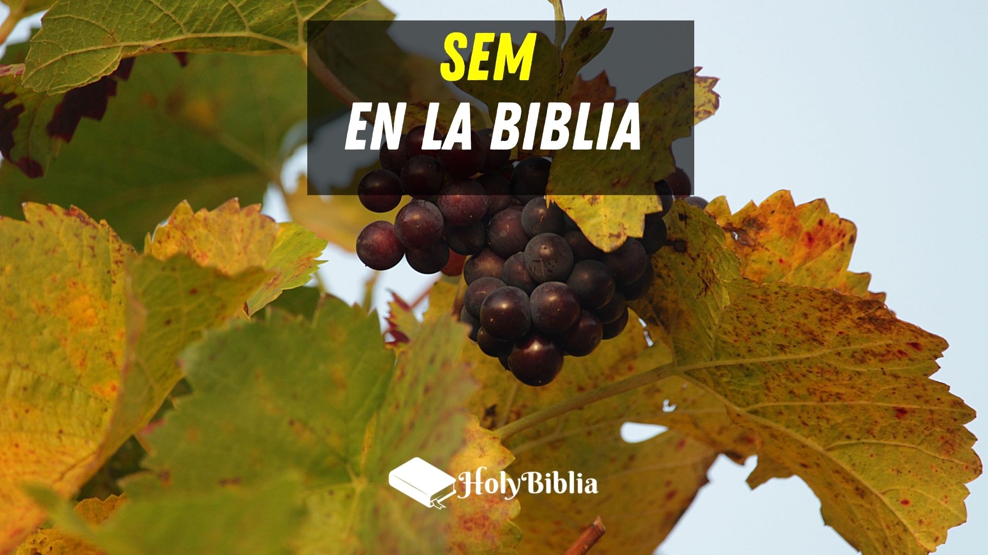 ¿Quién era sem en la Biblia?